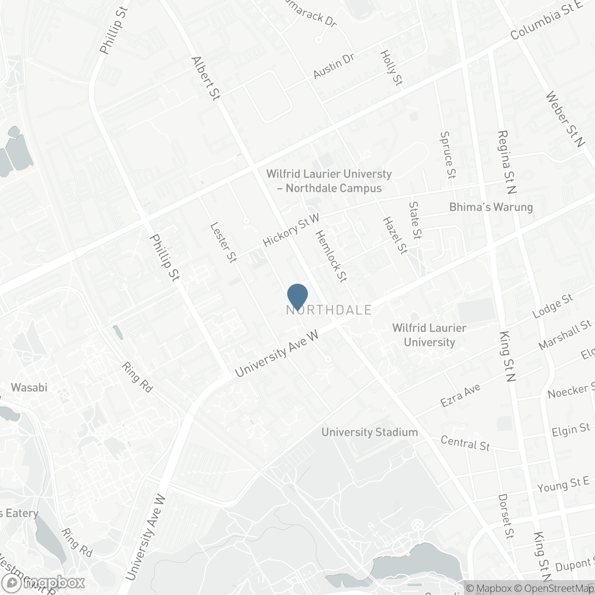 293 - 258B SUNVIEW STREET, Waterloo, Ontario N2L 3V9